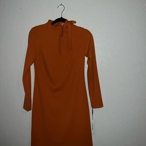 Calvin Klein burnt orange dress